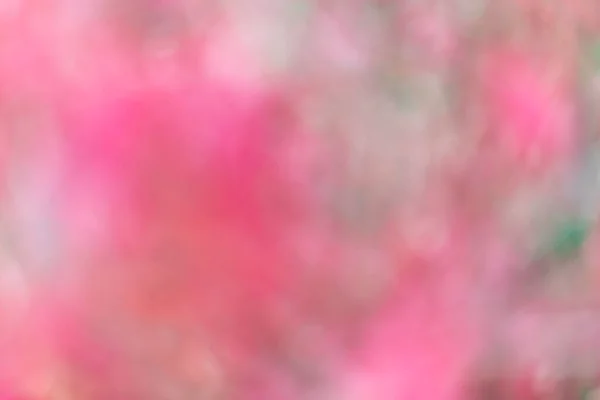 Różowy Abstrakcyjny Tło Zdjęcie — Zdjęcie stockowe