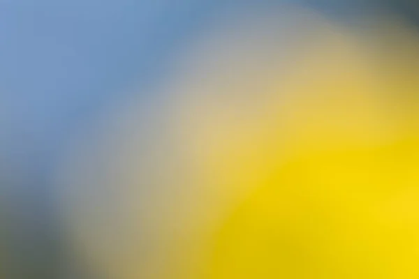 Abstract Blurry Background Photo — Stock Photo, Image
