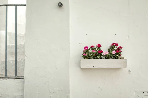 Bloemen Een Gevel Cisternino Italië — Stockfoto