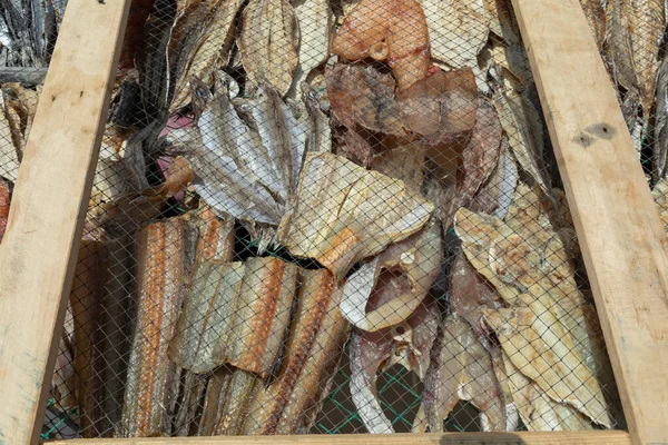 Traditionele Gedroogde Vis Een Strand Portugal — Stockfoto