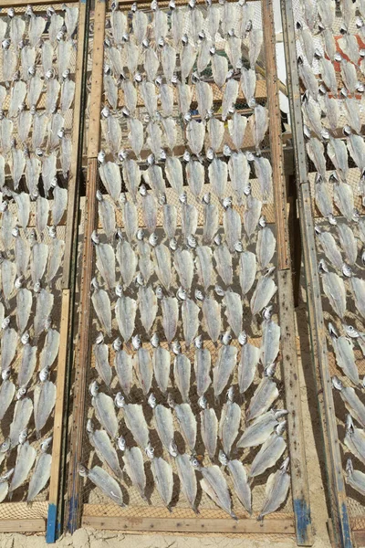 Traditional Dried Fish Beach Portugal — Stock Photo, Image