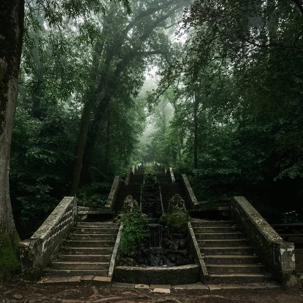 Историческая Каменная Лестница Национальном Парке Букако Португалия Европа — стоковое фото
