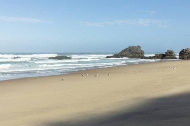 Portekiz, Avrupa 'daki Praia da adraga plajı