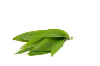 Yabani sarımsak izole üzerinde beyaz arka plan bırakır