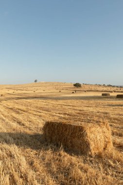 Portekiz, Alentejo 'da saman balyaları