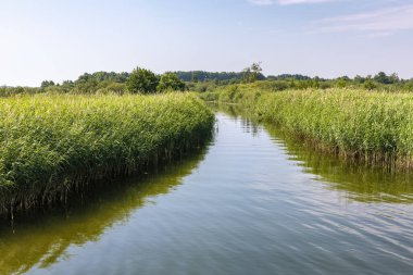 Canal between Lake Unter- and Oberuckersee, Uckermark, Germany clipart