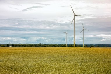 Uckermark, Doğu Almanya 'da rüzgar türbinleri