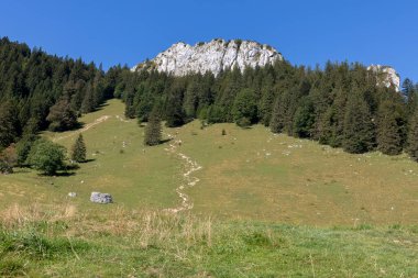 Wasserwand Dağları, Bavyera 'daki Heuberg Tepesi' ne doğru yol alıyor.