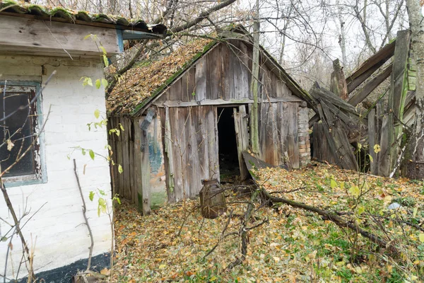 白亜の家の近くにある古い木製の道具室で 秋のチェルノブイリ放射性物質排出帯の地面に葉 — ストック写真