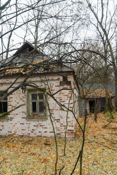 チェルノブイリ放射性物質排除区域の秋の森の真ん中にある白い廃屋 — ストック写真
