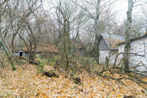 チェルノブイリ災害排除区域の放棄された白いセラミック屋根の家で秋の森を交換する — ストック写真