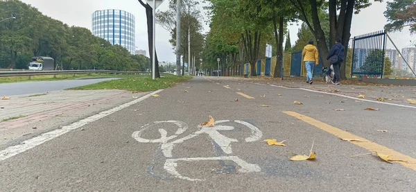 Symbole Vélo Sur Asphalte Piste Cyclable 170E Avenue Nord Ville — Photo