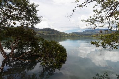 Bir And rezervuarı manzarası. Ağaçla birlikte gölün arka planında Watter Gölü 'nün ışık yansımaları ve dağlar var.