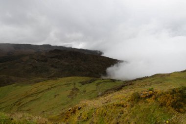 Stunning paramo ecosystem landscape with clouds and green grass