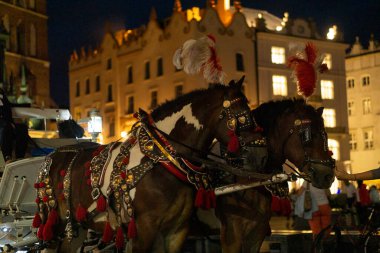 Krakow şehir merkezindeki eski binası olan iki at arabası. 