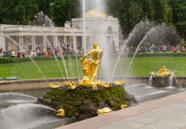Samson aslan sırtında altın heykel Peterhof Sarayı 'nda turist arka planda
