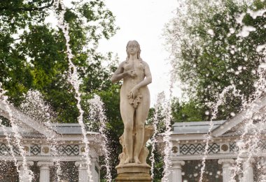 Peterhof Sarayı 'nda Venüs mermer heykel