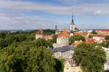 Tallinn Estonya eski kasaba turistik manzarası güneşli bir günde