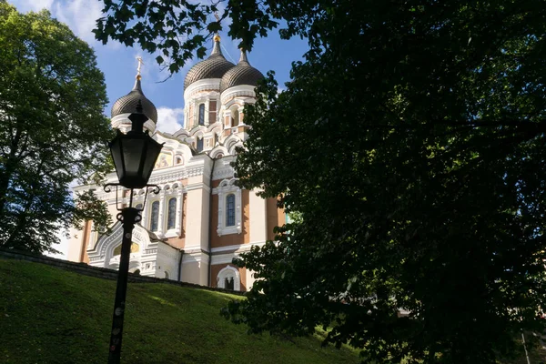 Nevsky Katedra Oglądana Przez Drzewa Słoneczny Dzień — Zdjęcie stockowe