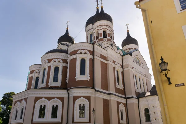 Aleksander Newski Katedra Powrotem Fasada Słoneczny Dzień — Zdjęcie stockowe