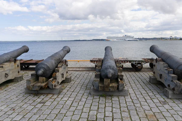 Tallinn kıyısındaki eski denizcilik müzesinin güzel topları. Arka planda baltık denizi ve ufukta büyük bir gemi var.