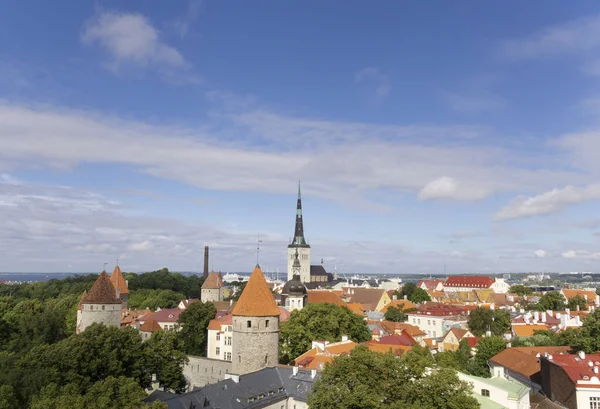 Krásné Staré Město Tallin Krajina Slunné Odpoledne Modrou Oblohou — Stock fotografie