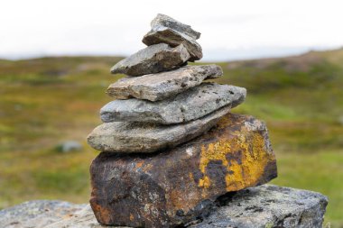 Arka planda yeşil arazi olan bir yosunlu kaya yığını 