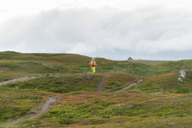 Genç bir kadın İskandinav kırsalında Tretkin yolunda yürüyor
