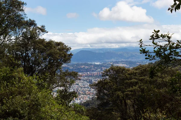 Bogota manzarası mavi gökyüzü ve arka planda dağlar olan yüksek ağaçların arasından görülüyor.