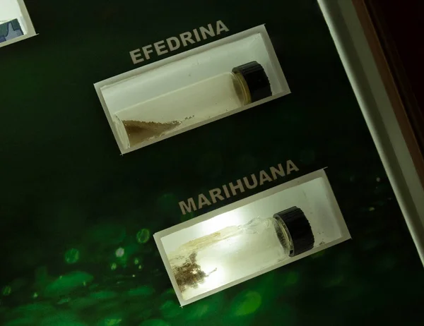 Éphédrine Cannabis Saisis Dans Une Urne Musée Police Colombienne — Photo