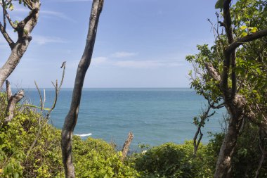 Turkuaz Karayip deniz manzarası güneşli bir günde yoğun bir tropikal orman yeşilliğinin içinden geçti.