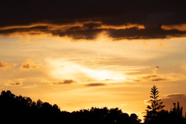 Güzel altın gün batımı Bulutlar ve ağaçlar silueti
