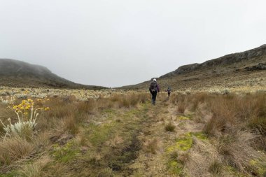 Kolombiya 'da Paramo Ekosisteminin ortasında yürüyüş yapan bir grup insan.
