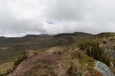 Bulutlu Kolombiyalı Paramo ekosistem manzarası bulutlu dağlar