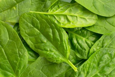 Beyaz arkaplanda ıspanak yaprakları.