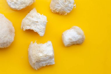 Taze ender bulunan aslan yelesi mantarı