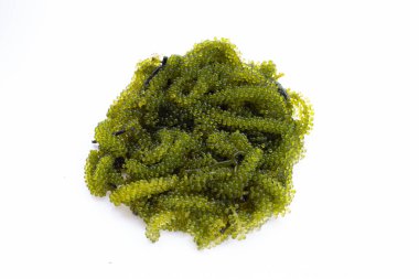 Sea grape seaweed on wihte background.