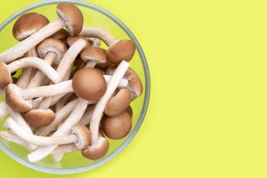 Beyaz arka planda Yanagi Matsutake mantarı.