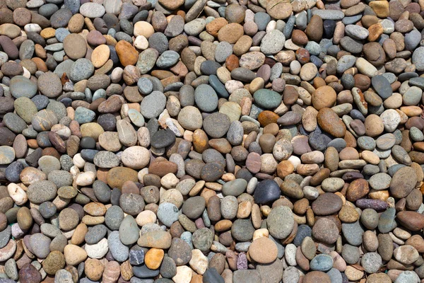 Pebbles Sea Stones Background — Stock Photo, Image