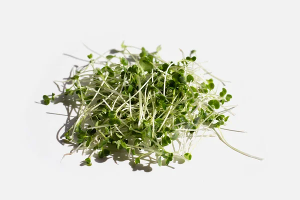 Organic Kale Sprouts Healthiest Vegetables Concept — Fotografia de Stock