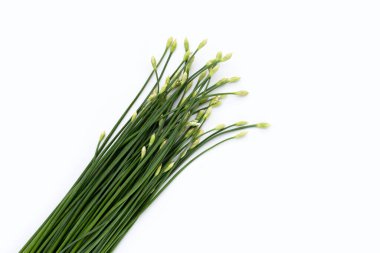 Fresh Chinese Chive flower on white background.