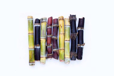 Beyaz zemin üzerine şeker kamışı.