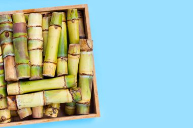 Mavi arka planda şeker kamışı.