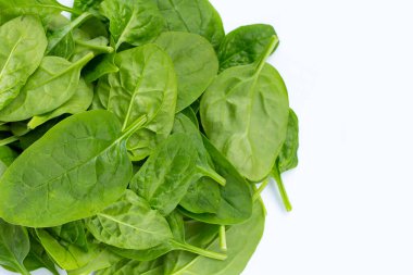 Beyaz arkaplanda ıspanak yaprakları.