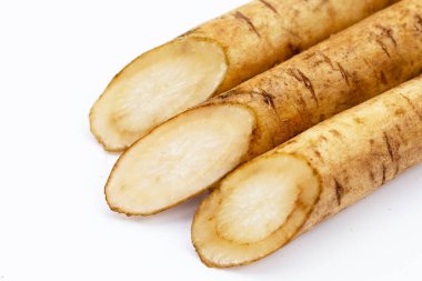 Beyaz arkaplanda Burdock Kökü (Gobo).