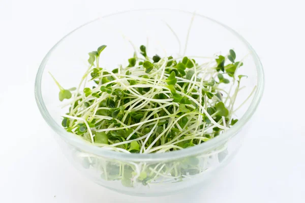 Organic Kale Sprouts Healthiest Vegetables Concept — Fotografia de Stock