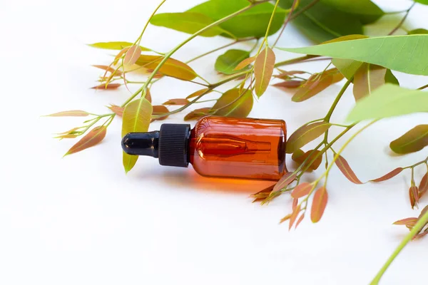 Eucalyptus Etherische Olie Fles Met Bladeren Witte Achtergrond — Stockfoto
