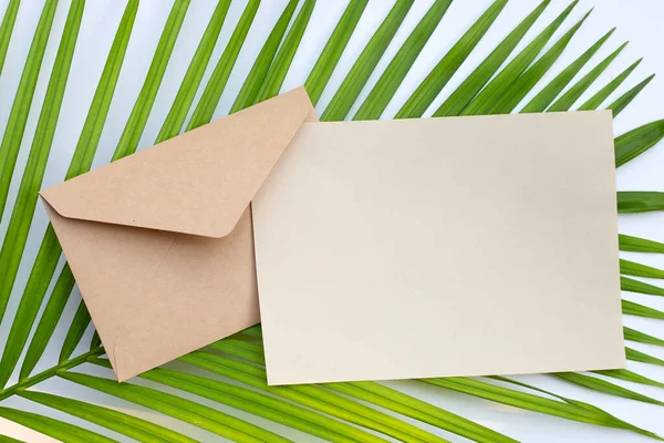 Papel Marrom Envelopes Folhas Verdes — Fotografia de Stock