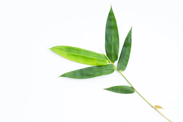 Bamboo Leaves White Background — Stock Photo, Image