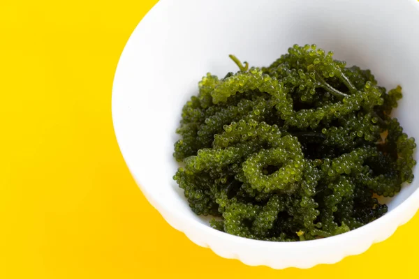 Sea grape seaweed in white bowl on yellow background.